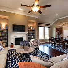 Living Room Ideas