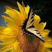 Karla Carby's photo