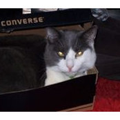 Wendy Cameron's photo