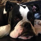 Caryl Wilson's photo