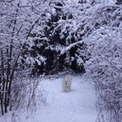 Foto von Sandy Larouche