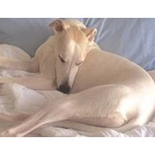 Anne Stark's photo