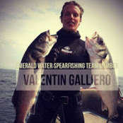 GALLIERO Valentins billede