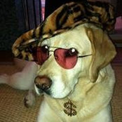 Shannon Braymen's photo