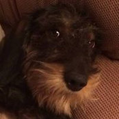 Dianne Hearn's photo