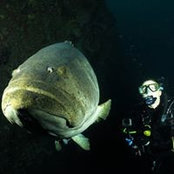 Johanna Lundgren's photo