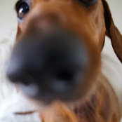 Rebecca Stritzke's photo
