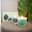 Arch. Ilaria Codecasa Home Stager