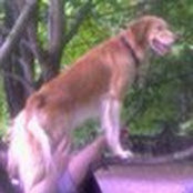 Avery Schonland's photo