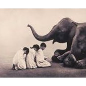 Lisa Piacenti's photo
