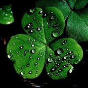 Denise McNamara Dillard's photo