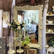 Dawn Sheridan's photo