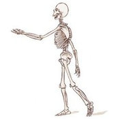 Dawn Hourigan's photo