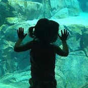 Kate Beaulieu Dalman's photo