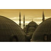 Zaur AbuAbdullah Gafarov's photo