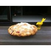 Carla Rael's photo