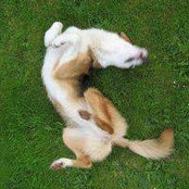 Louise Powell's photo