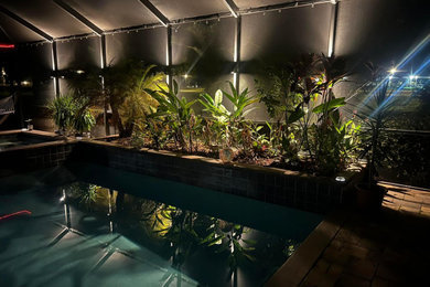 Inspiration for a pool remodel in Miami