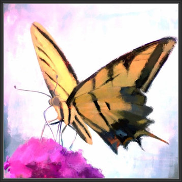 "Butterfly Feeding", Decorative Wall Art, 41.75"x41.75"