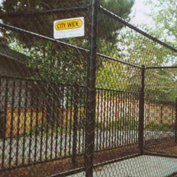 CHAIN LINK