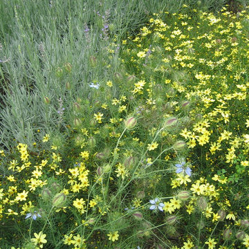 Formal Country Garden