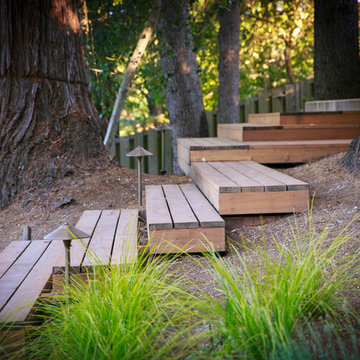 Orinda 4