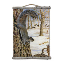 squirrel