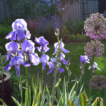 Gardener's Escape