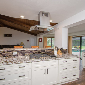 Kitchen/Living/Dining Space Renovation