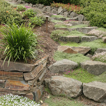 landscaping ideas