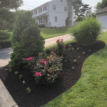 Landscape Enhancement