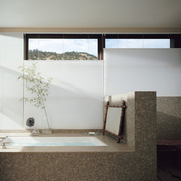 Hunter Douglas Duette Honeycomb Shades