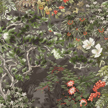 Powder room wallpaper