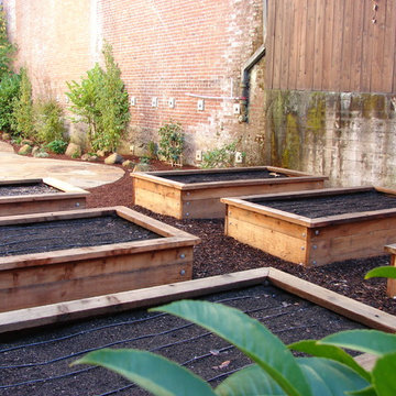 Raised Vegetable Boxes