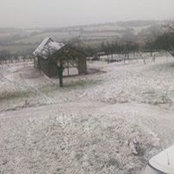 Foto von Sarah Litha