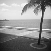 Celeste Mohammed's photo