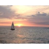 Paul Middione's photo