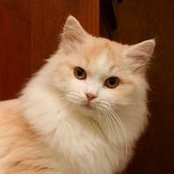 Jeanne Farrington's photo