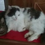 Thierry Bonfond's photo