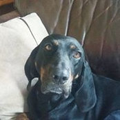 Grace Sabatino's photo