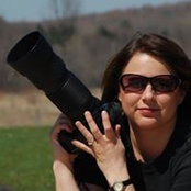 Tara Travis's photo