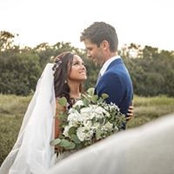 Lisa Sams's photo