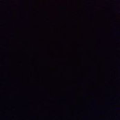 Foto von PS Honey