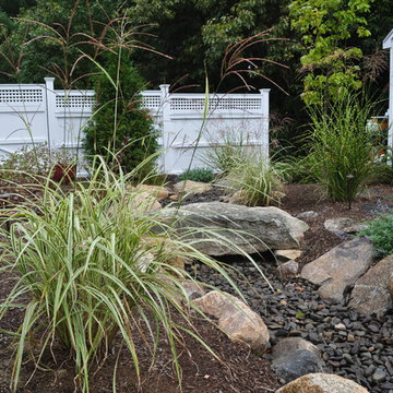 Dry Stream Beds