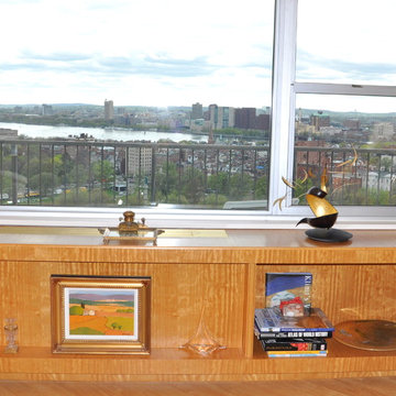 Cabinet with a view