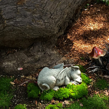 Playful, Secluded Shade Garden & Fairytale Pond