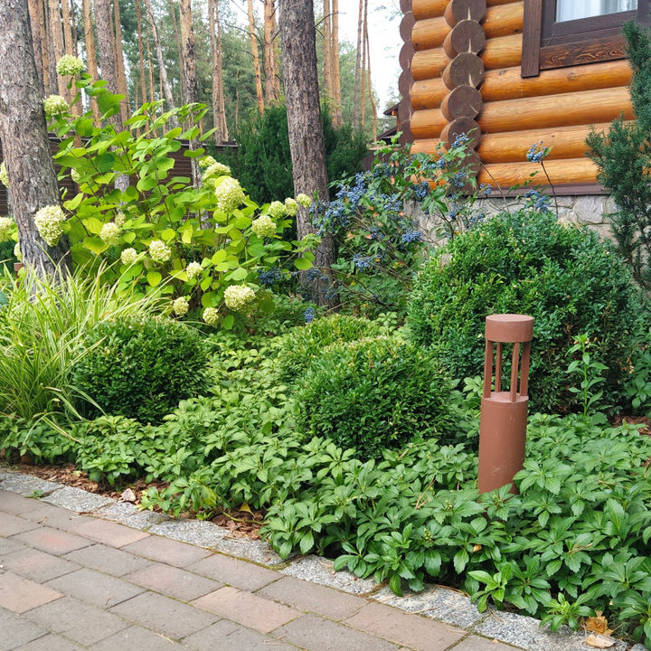 75 Skandinavische Gärten Ideen & Bilder Juli 2023 Houzz DE