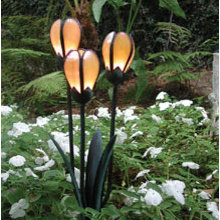 rachel_antalek's ideas