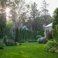 privacy landscaping