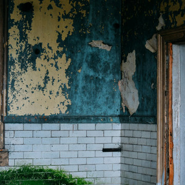 Surprising Places Mould Grows That Have Nothing to Do With Bathrooms